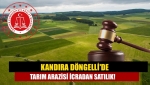 Kandıra Döngelli'de tarım arazisi icradan satılık!