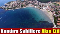 Kandıra sahillere akın etti