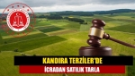 Kandıra Terziler'de icradan satılık tarla