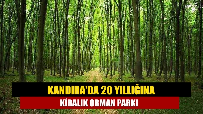 Kandıra'da 20 yıllığına kiralık orman parkı