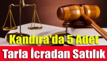 Kandıra'da 5 Adet Tarla İcradan Satılık