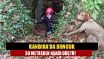 Kandıra'da Boncuk 30 metreden aşağı düştü!