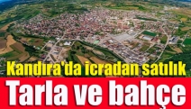 Kandıra'da icradan satılık tarla ve bahçe