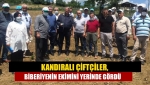 Kandıralı Çiftçiler, biberiyenin ekimini yerinde gördü