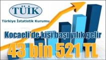 Kocaeli’de kişi başı yılık gelir 43 bin 521 TL