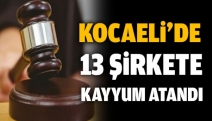 Kocaeli'de13 şirkete kayyum atandı