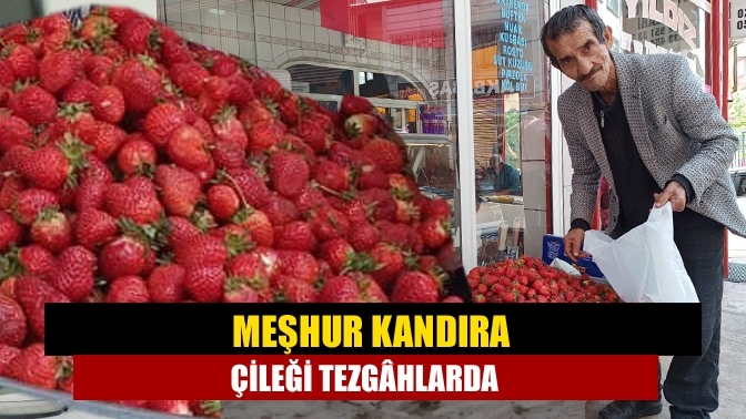 Meşhur Kandıra çileği tezgâhlarda