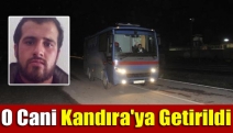 O Cani Kandıra'ya Getirildi