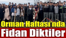 Orman Haftası’nda fidan diktiler