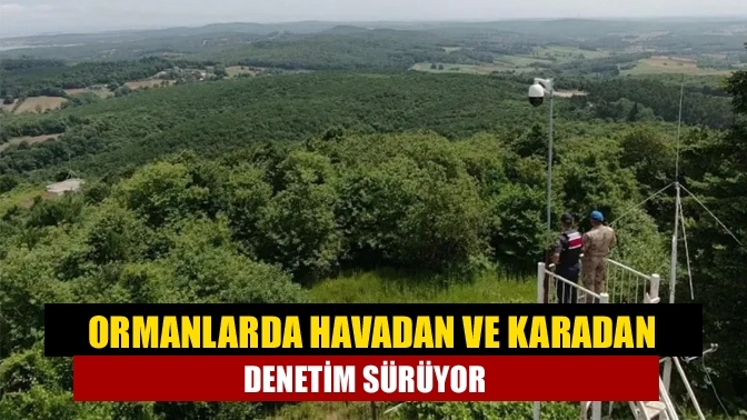 Ormanlarda havadan ve karadan denetim sürüyor