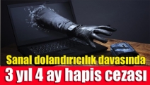 Sanal dolandırıcılık davasında 3 yıl 4 ay hapis cezası