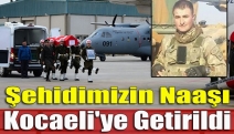 Şehidimizin naaşı Kocaeli'ye getirildi