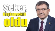 Şeker, Başkanvekili oldu