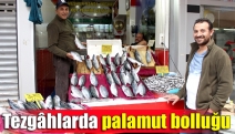 Tezgâhlarda palamut bolluğu