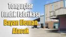 Tonguçlar Fındık Fabrikası bayan eleman alacak