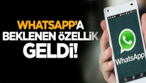 WhatsApp'a beklenen özellik geldi