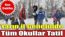 Yarın il genelinde tüm okullar tatil