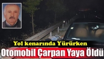 Yol kenarında Yürürken Otomobil Çarpan Yaya Öldü