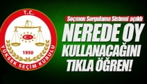 YSK seçmen sorgulama erişime açıldı!