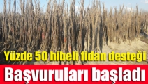 Yüzde 50 hibeli fidan desteği başvuruları başladı