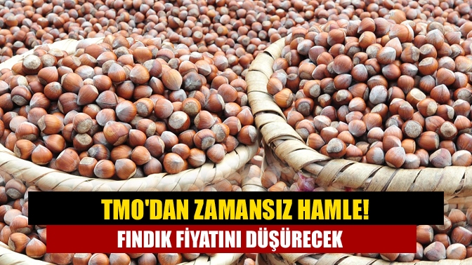 TMO'dan zamansız hamle! Fındık fiyatını düşürecek