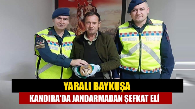 Yaralı baykuşa Kandırada jandarmadan şefkat eli