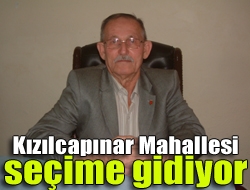 Kandıra Kızılcapınar Mahallesi,  7 Haziran Genel Seçimlerinde milletvekili seçiminin