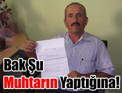 Kandıra Sarıahmetler Köyü Ramazanlar Mahallesinde önceki gün ilginç bir olay
