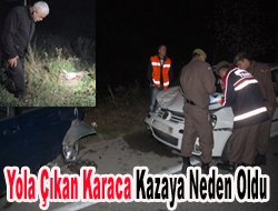 Kandıra Çubuklu Köyü mevkiinde aniden yola çıkan karaca, kazaya neden