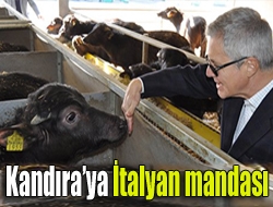 İthalat ve ihracat işleri yapan Kan