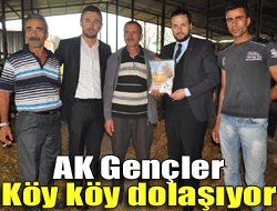 Ak Parti Kandıra İlçe Gençlik Kolları çiftçilere seçim beyannamesindeki vaatleri