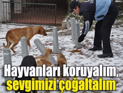Kandıra Belediyesi Zabıta Müdürlüğüne bağlı ekipler, Hayvanları koruyalım, sevgimizi çoğaltalım
