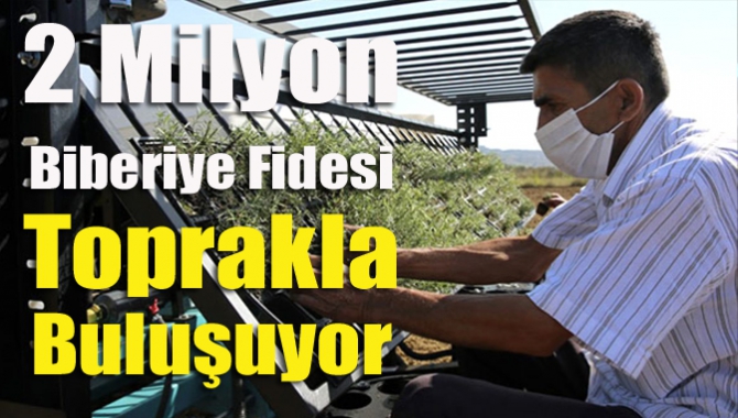 Büyükşehir’in destek verdiği Tıbbi ve Aromatik Bitkiler Projesi’nde dikim zamanı…