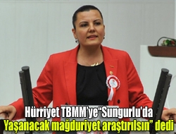CHP Kocaeli Milletvekili Fatma Kaplan Hürriyet, Kandırada yapılması planlanan Sungurlu