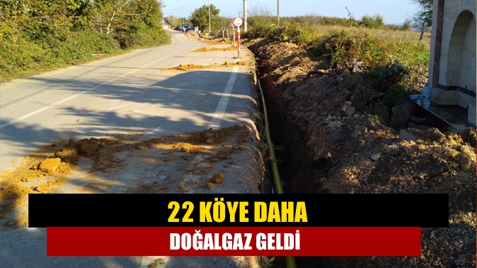 Kocaeli bölgesine doğal gaz arzı sağlayan İZGAZ, 2021 yatırım planı