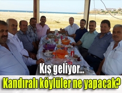 Yeni Kan