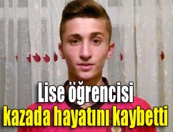 Kandıra Antaplı Mahallesinde direksiyon hakimiyetini kaybeden araç sürücüsü yoldan çıkarak