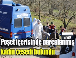 İzmit Kandıra yolu üzerinde bir tarlada, parçalanarak poşete konmuş bir