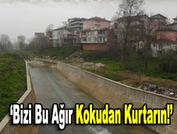 Kandıra Namazgah Deresi çevresinde bulunan çok sayıda vatandaş havaların ısınmasıyla