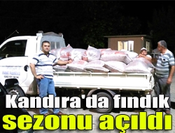 Tonguçlar Fındık Fabrikası sahiplerinden Murat Tonguç, ilk mahsulleri almaya başladıkları