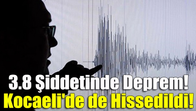 Sakarya'nın Akyazı ilçesinde 3.8 şiddetinde deprem meydana geldi. Kocaeli'de de