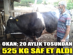 Kefken Okan Marketin sahibi Baki Okan çiftliğinde 20 ayda yetiştirdiği