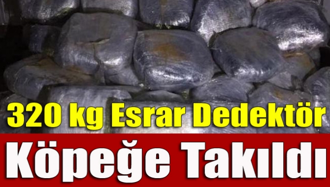 Kocaeli İl Emniyet Müdürlüğüne bağlı Narkotik Büro Ekipleri tarafından düzenlenen