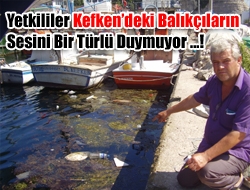 Kandıra Kefken Limanındaki Balıkçılar sıkıntılarını defalarca dile getirmelerine rağman bir