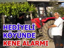 Hediyeli Köyünde Kene alarmı Kandıra’nın Hediyeli Köyünde Muammer Er’in evinin duvarlarını keneler sarınca köy