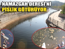 Kandıranın gözde yerlerinden biri olan Namazgah Deresi, şu günlerde içler