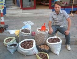 Kandıra’nın büyük bir kısmının geçim kaynaklarından biri olan kestane, ceviz