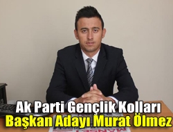 AK Parti İl Gençlik Kolları Başkanı Yusuf Akın, 6 ilçenin