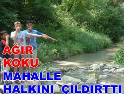 Kandıranın Meşhur Namazgâh Deresinin Çevreye ağır koku saçması Orhan Mahallesi