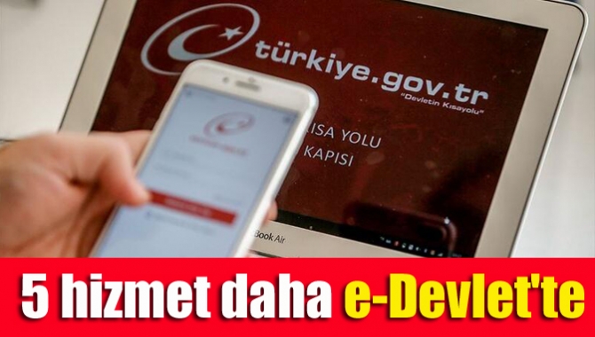 Aile, Çalışma ve Sosyal Hizmetler Bakanı Zehra Zümrüt Selçuk, Sosyal